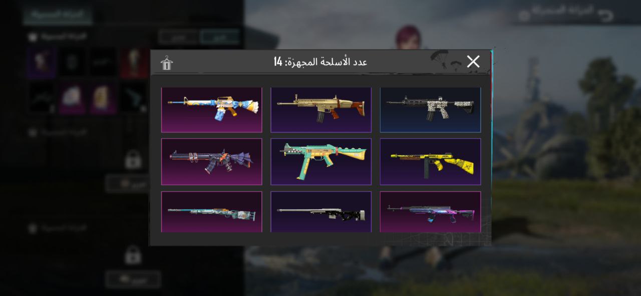 photo_5967636777965568614_y